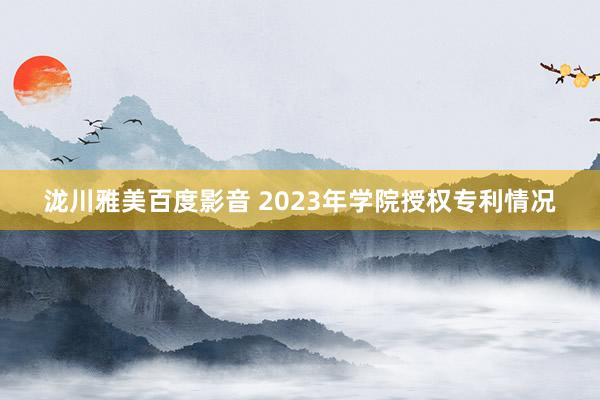 泷川雅美百度影音 2023年学院授权专利情况